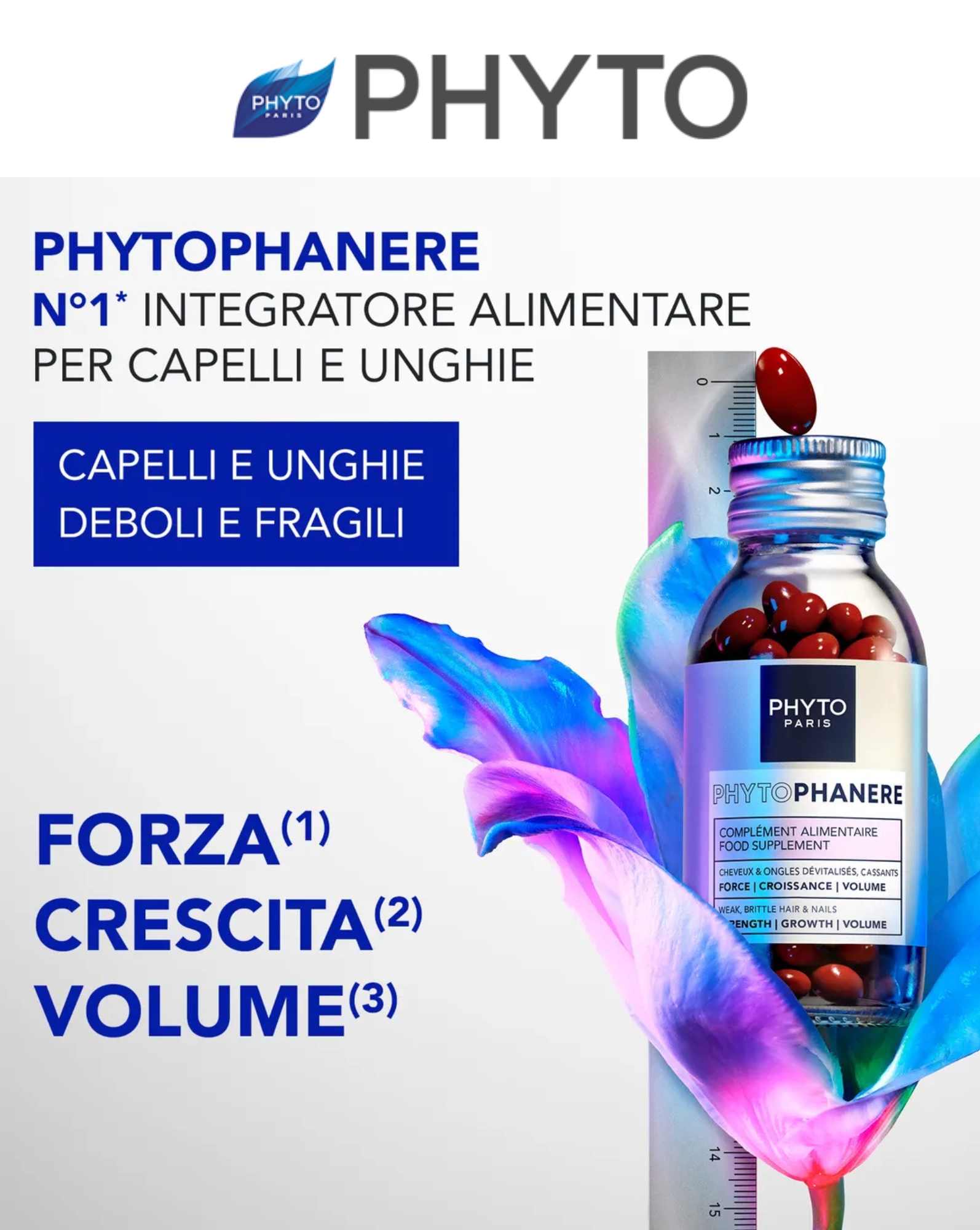phyto phyto phanere
